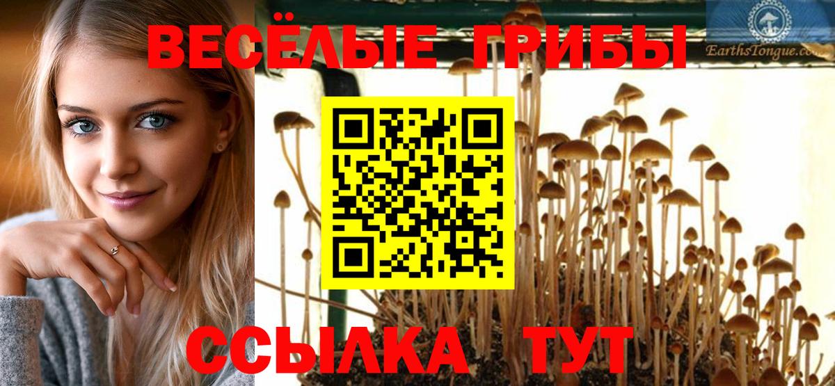 даркнет сайт  Галлюциногенные грибы мицелий  Галлюциногенные грибы прущие грибы  Вход с VPN  Будённовск 