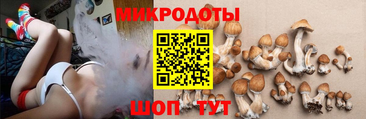 Псилоцибиновые грибы мицелий Будённовск