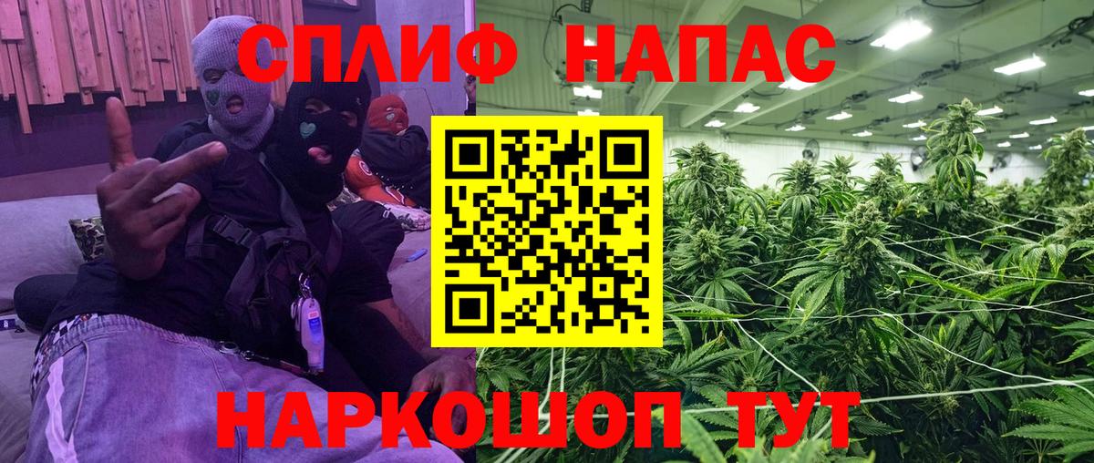 Шишки марихуана сатива  Вход с VPN  Бошки марихуана THC 21%  Будённовск 